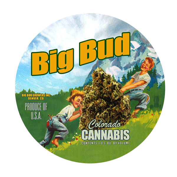 Big Bud Colorado
