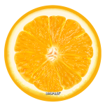 Orange Slice DabPadz